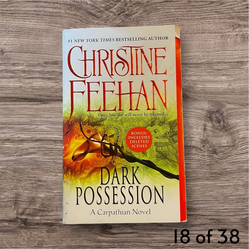 Dark Possession by Christine Feehan Paperback